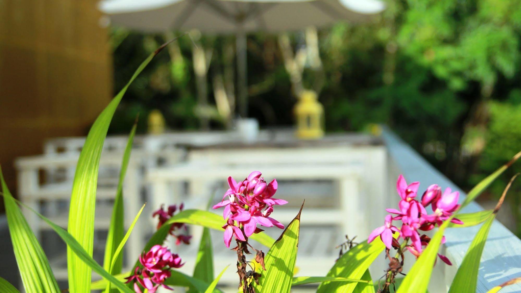 Emis Hotel Phu Quoc Exterior foto
